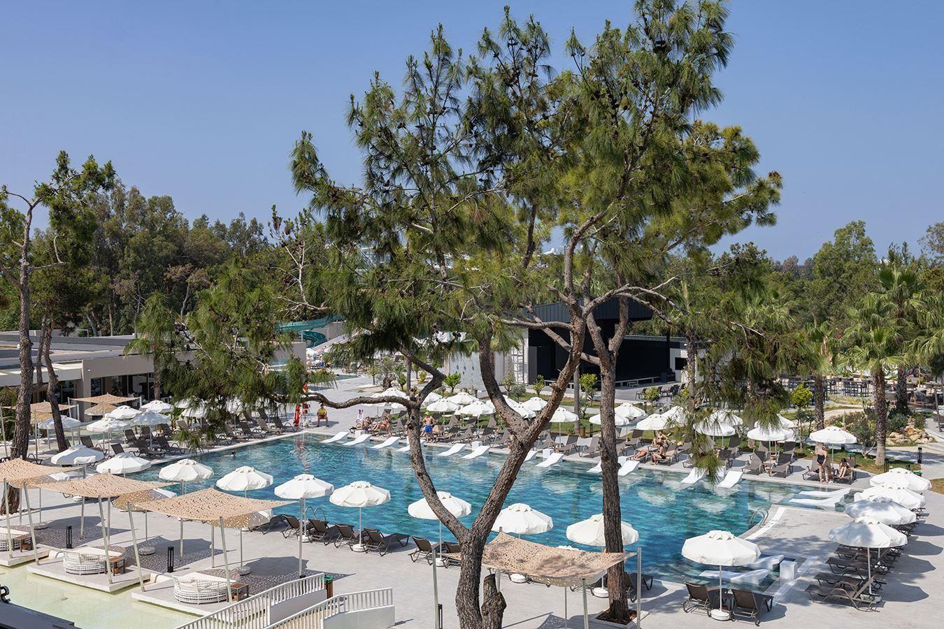 Berry Blue Hotels