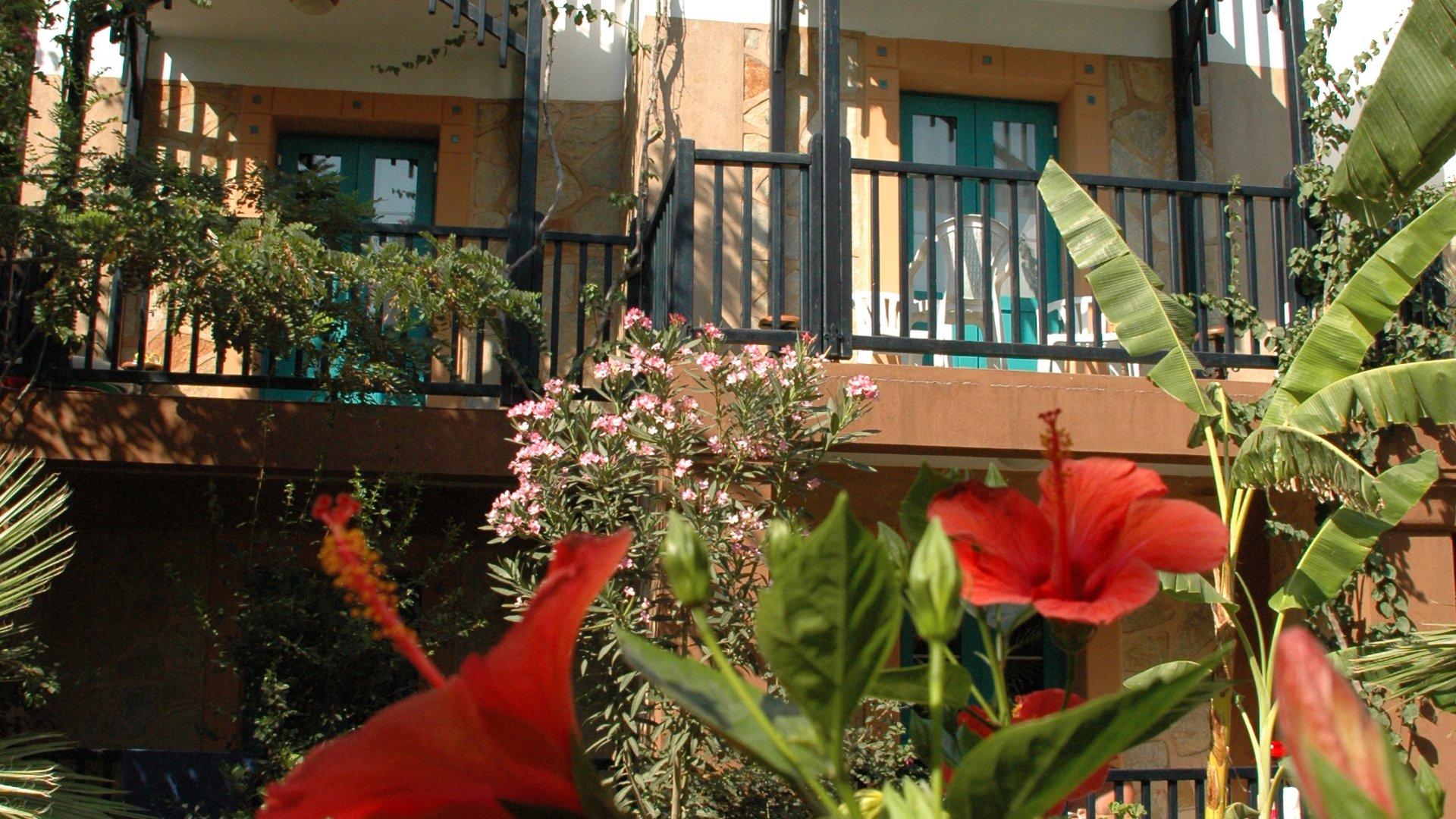 JASMIN BEACH HOTEL BODRUM