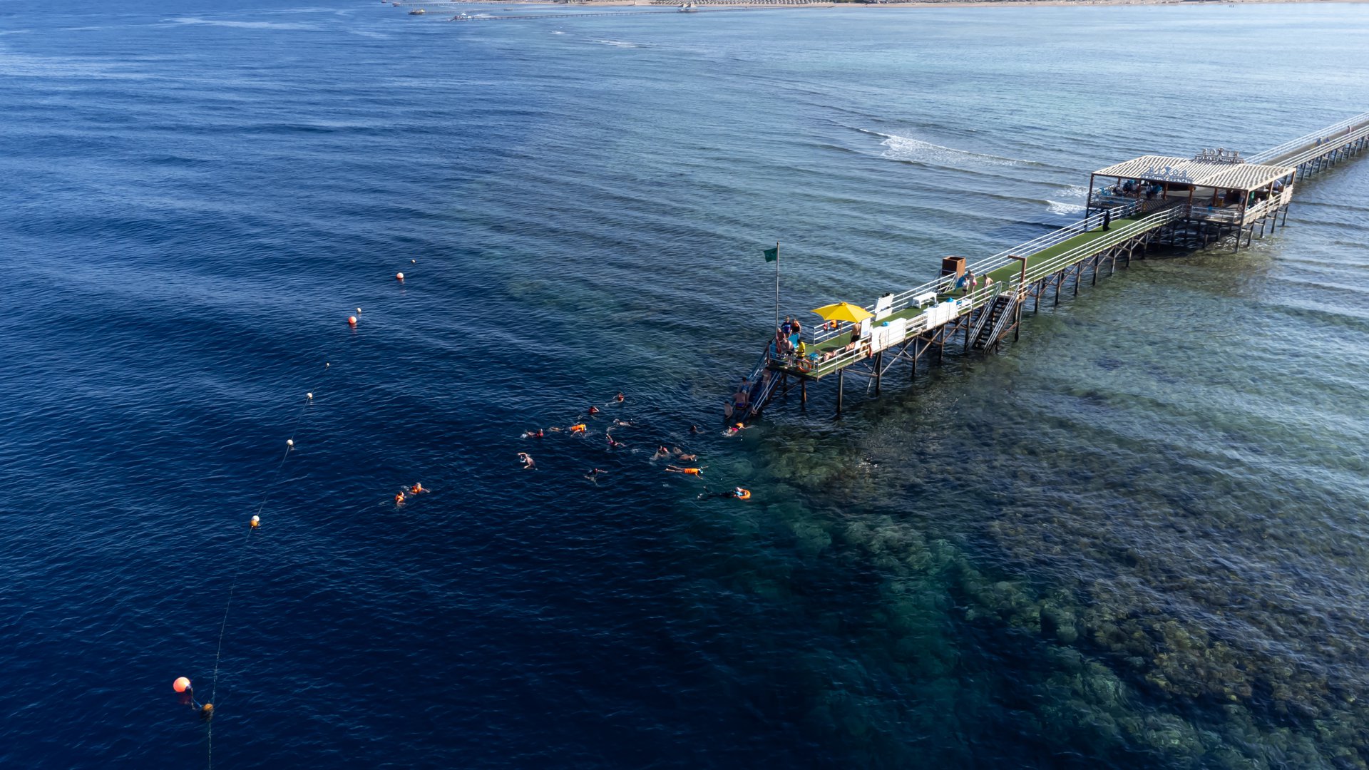 RIXOS PREMIUM SEAGATE