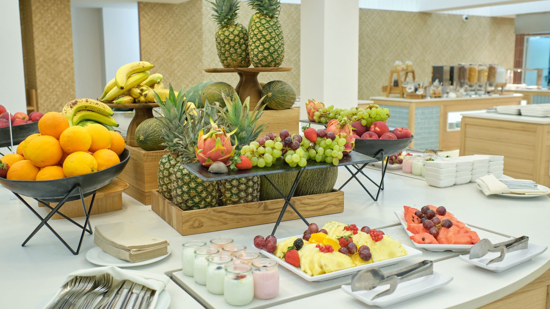 OCCIDENTAL CALA VINAS