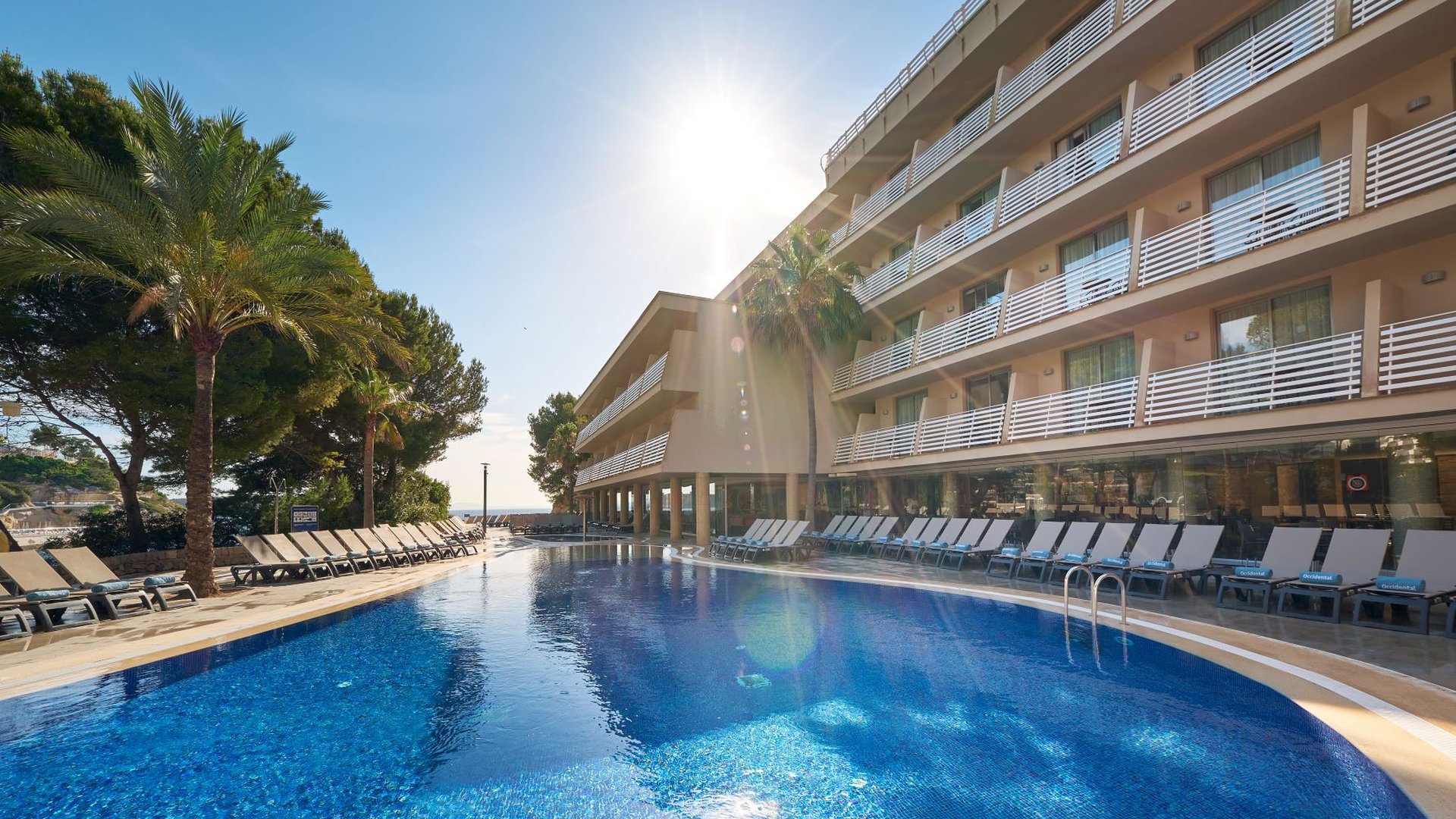 OCCIDENTAL CALA VINAS