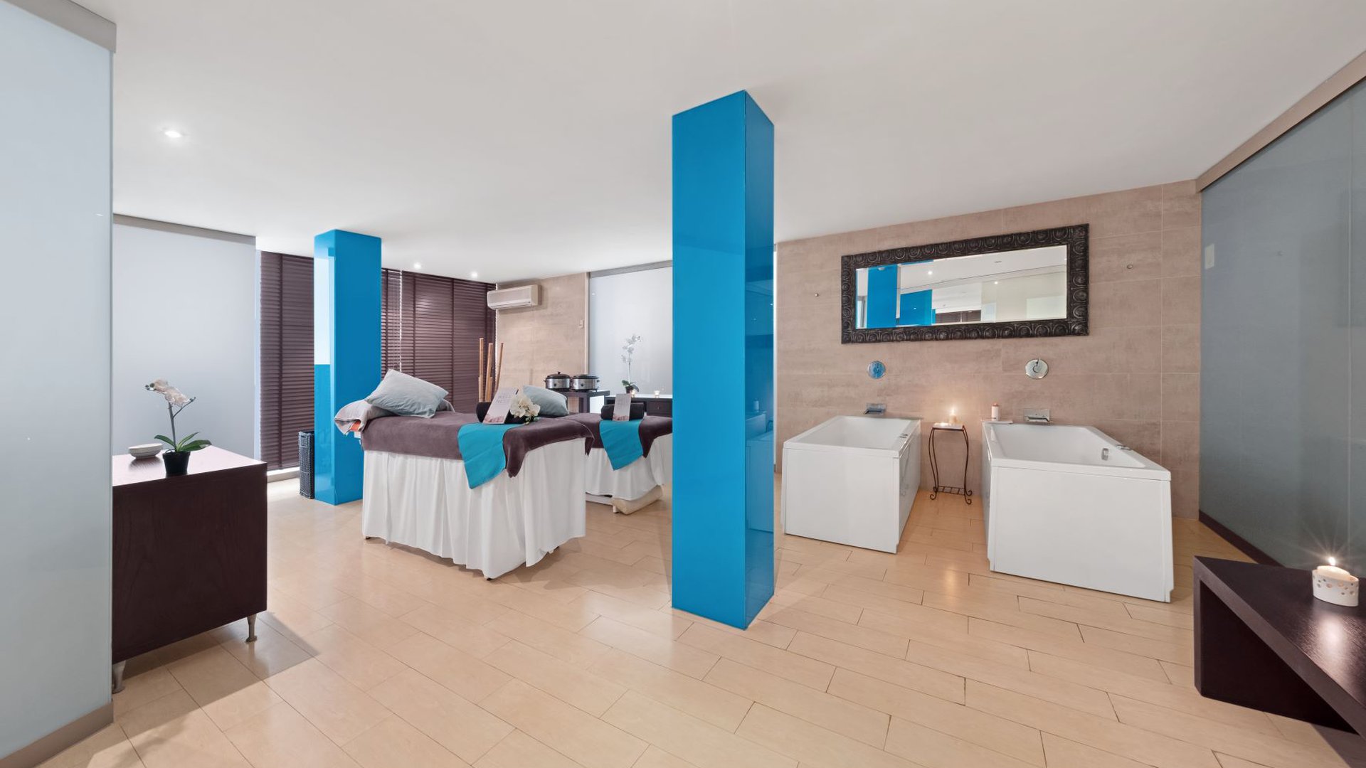 OCCIDENTAL CALA VINAS