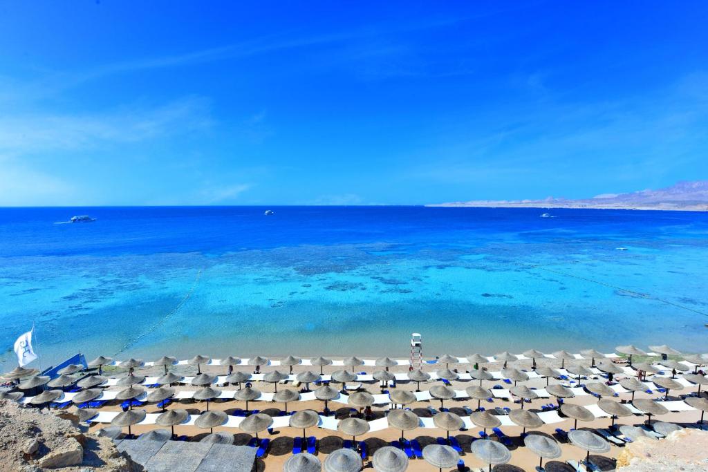 JAZ FANARA RESORT & RESIDENCE