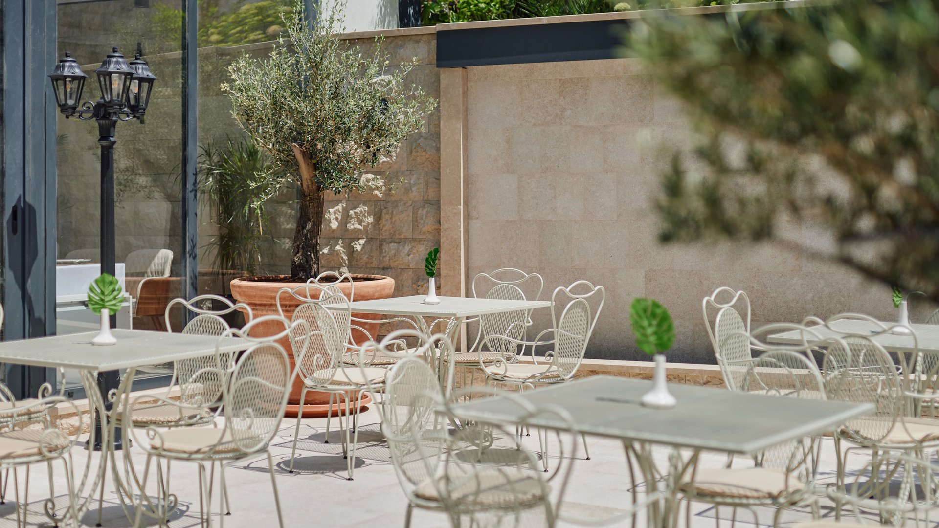 HOTEL DIPLOMAT BY AYCON