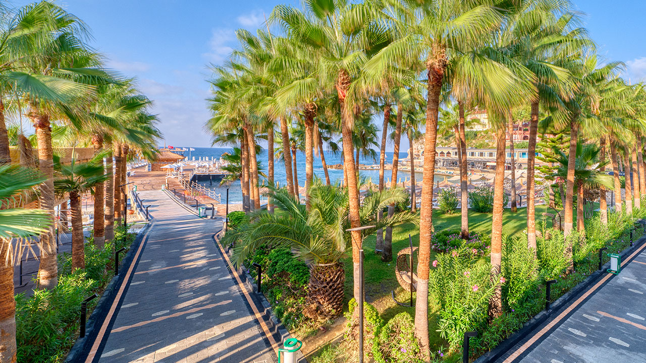 Seven Seas Palmeras Bay