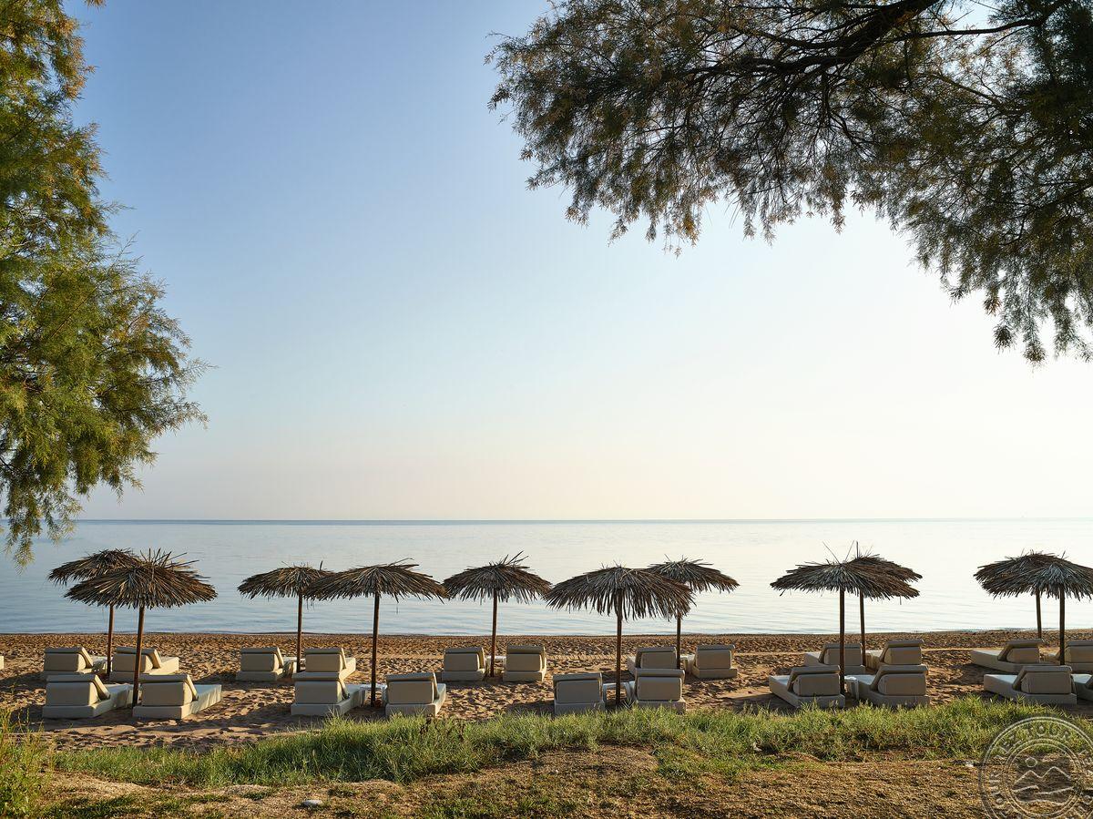 GRECOTEL CASA MARRON