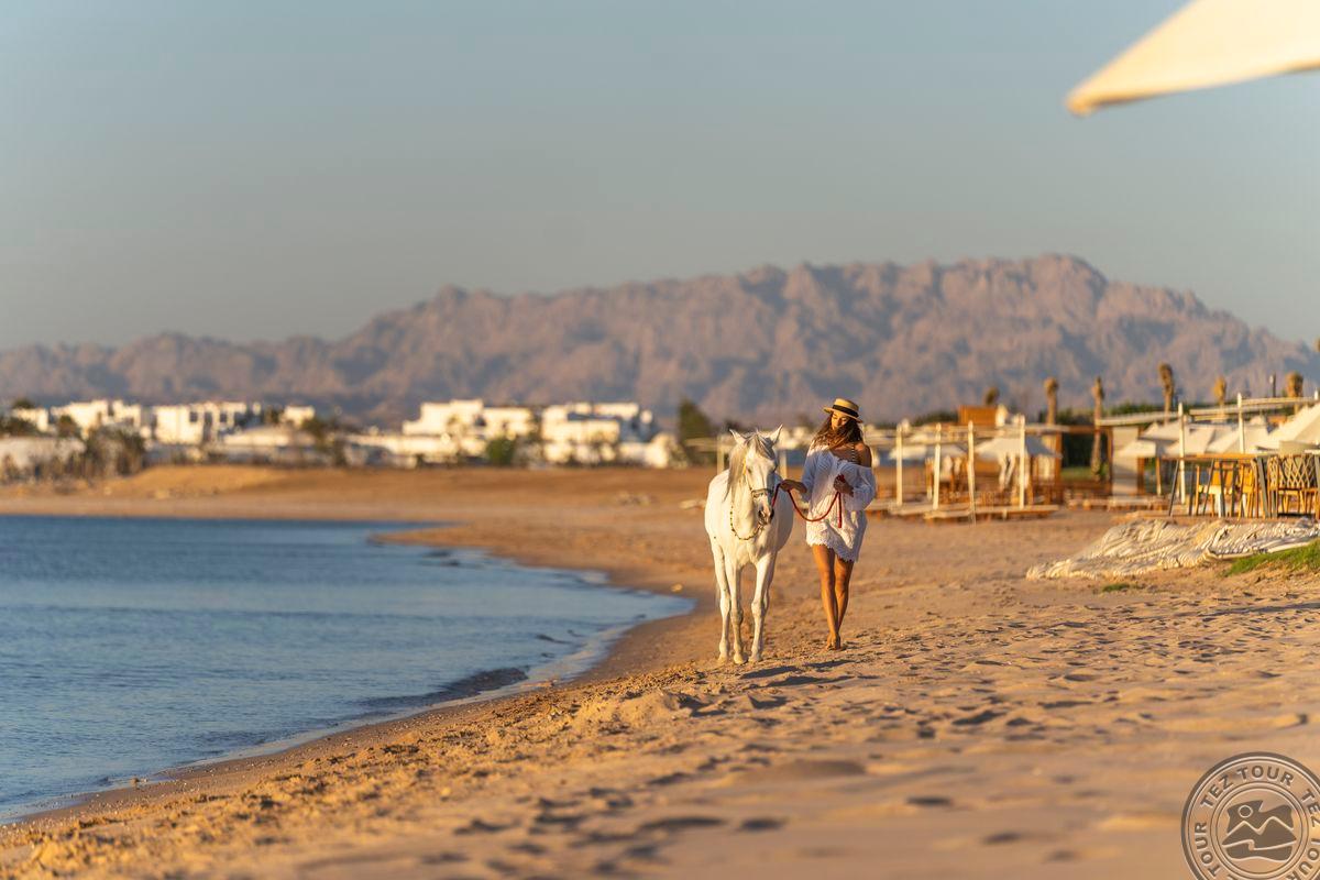 RIXOS PREMIUM MAGAWISH