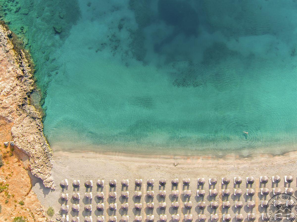 DAIOS COVE
