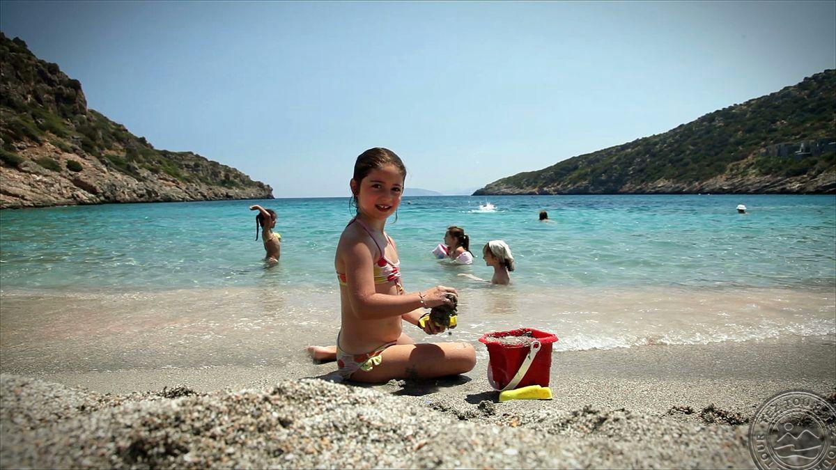 DAIOS COVE