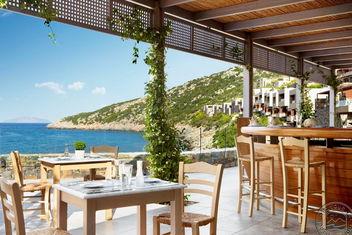 DAIOS COVE
