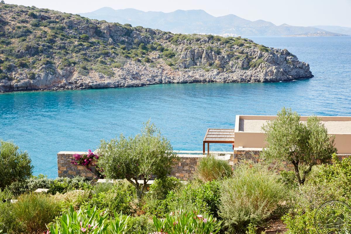 DAIOS COVE