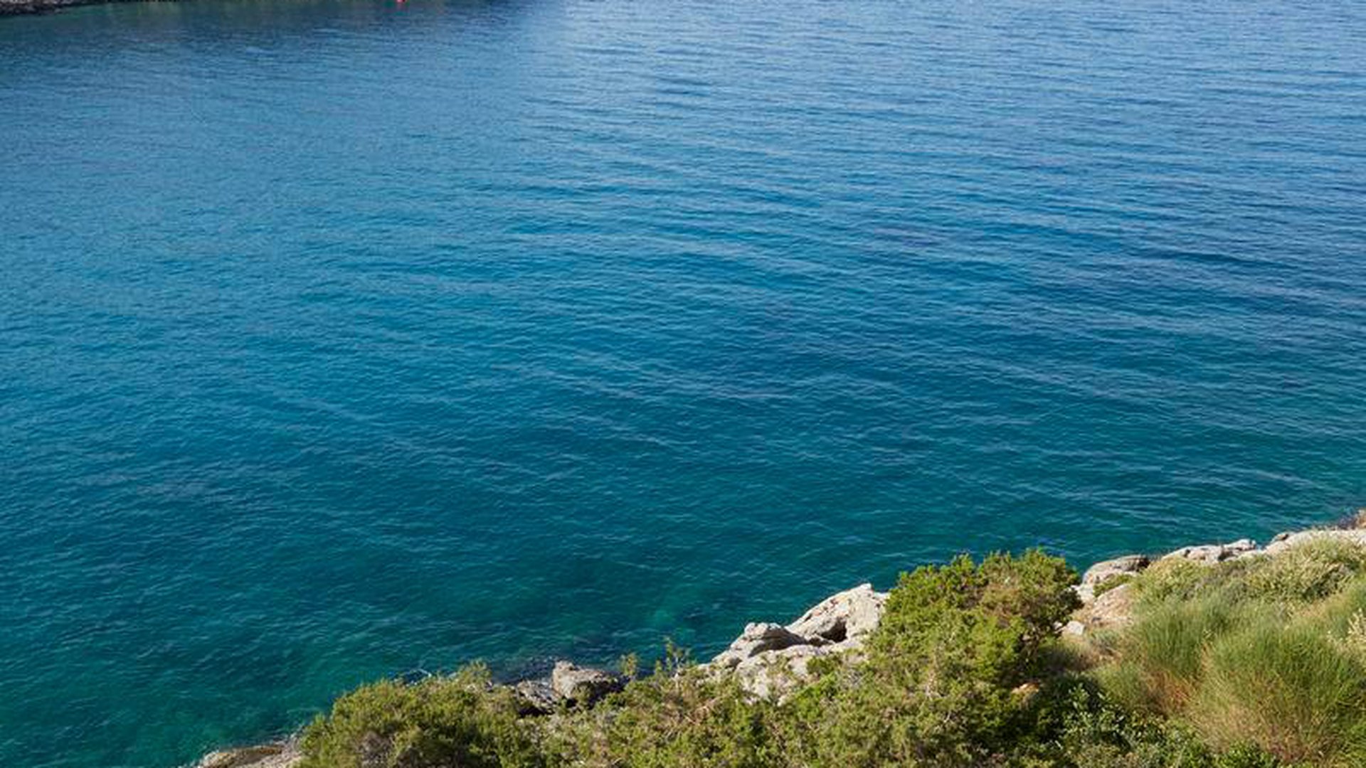 DAIOS COVE