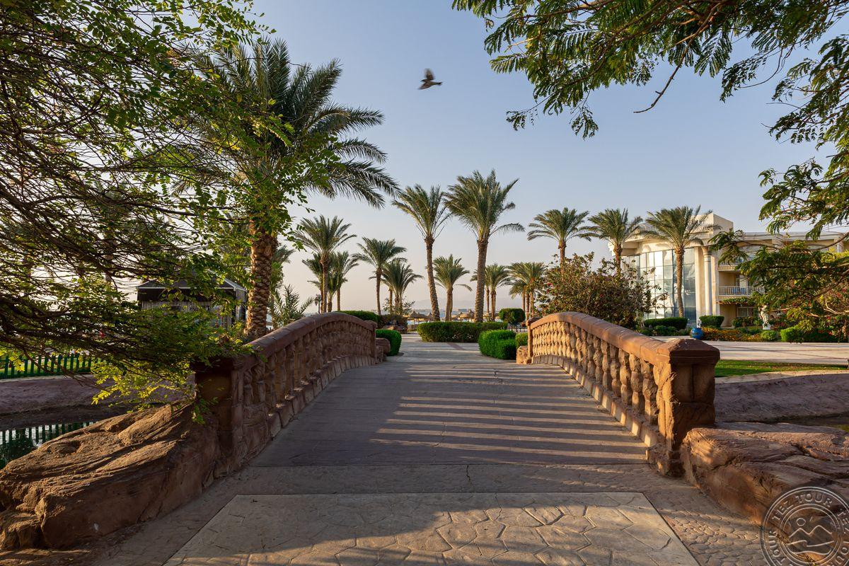 PALM ROYALE SOMA BAY