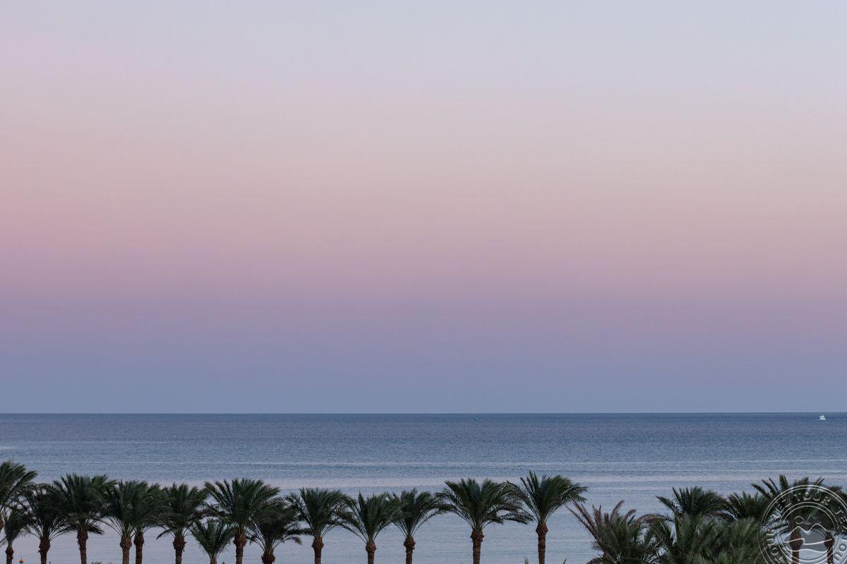 PALM ROYALE SOMA BAY