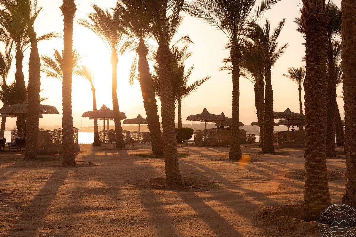 PALM ROYALE SOMA BAY