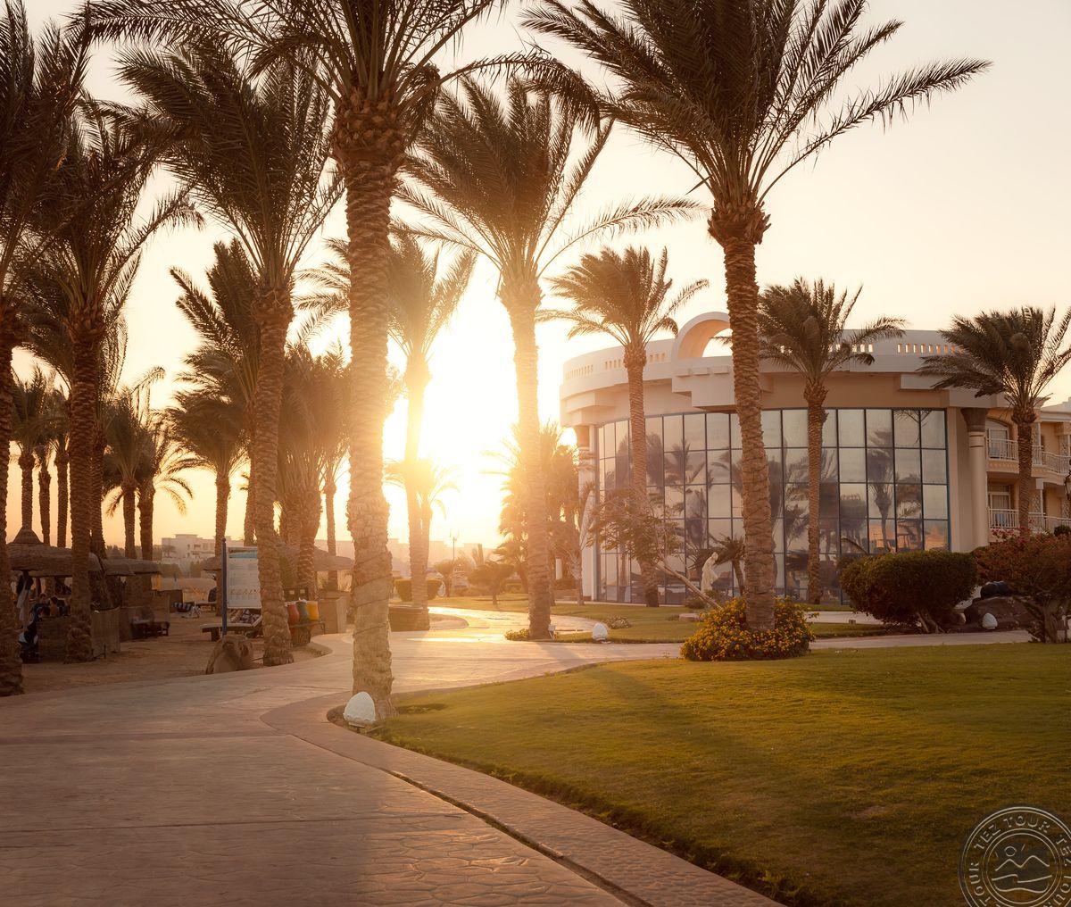 PALM ROYALE SOMA BAY