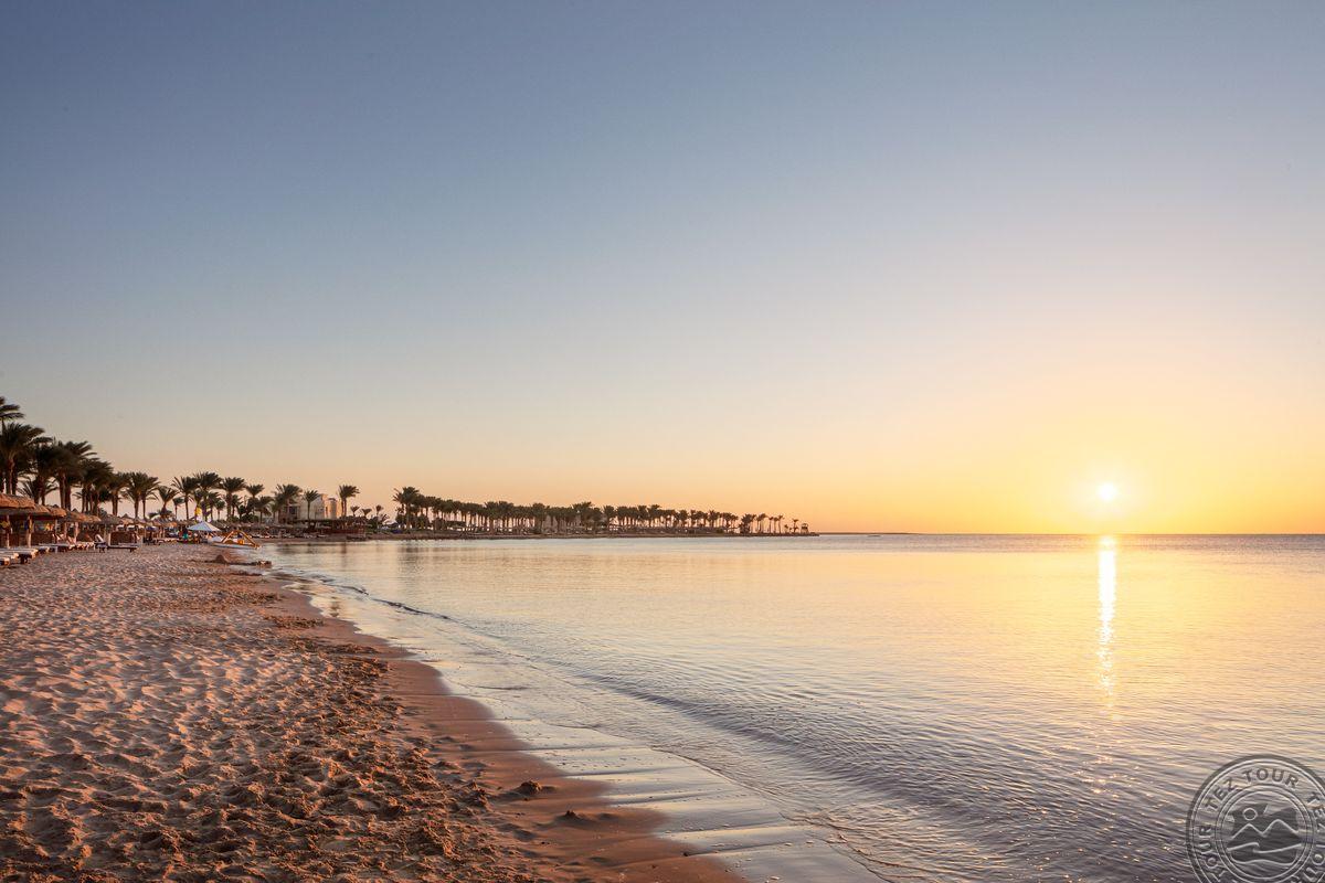 PALM ROYALE SOMA BAY