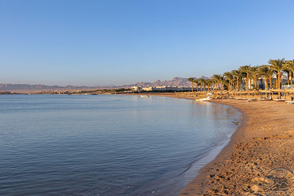 PALM ROYALE SOMA BAY