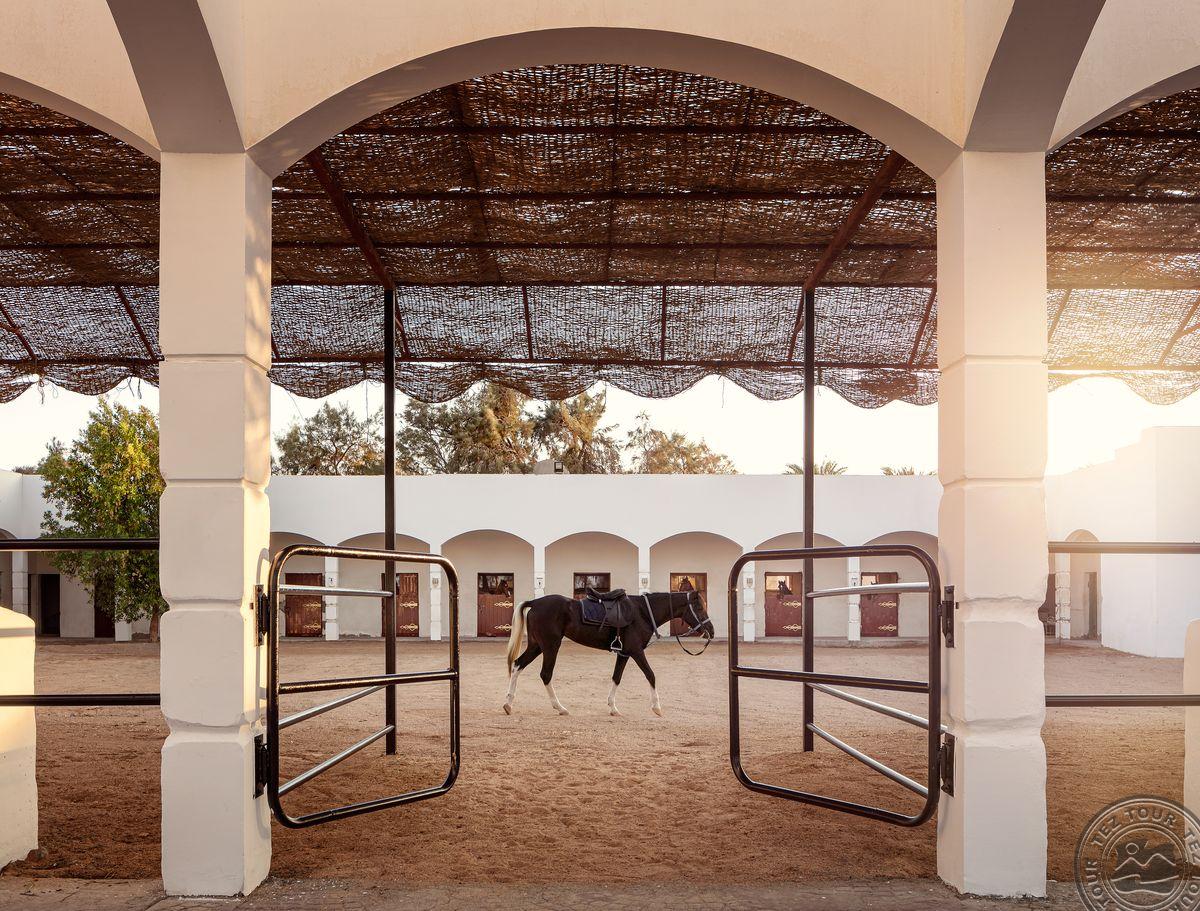 PALM ROYALE SOMA BAY