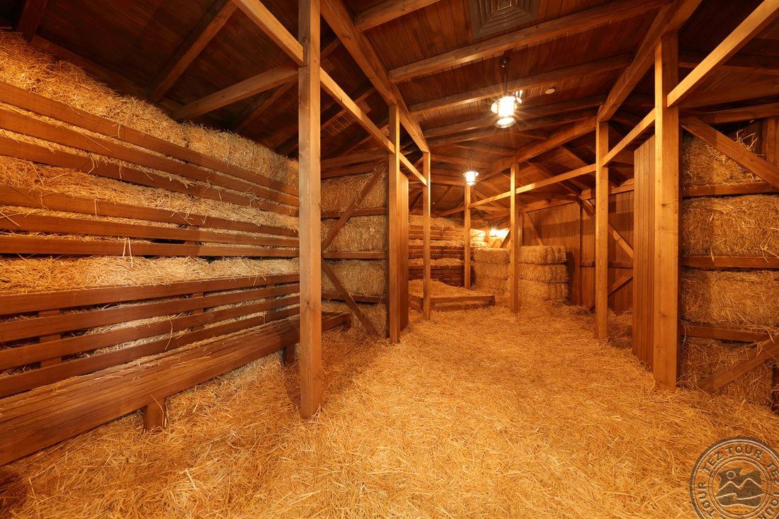 SUENO HOTELS DELUXE BELEK