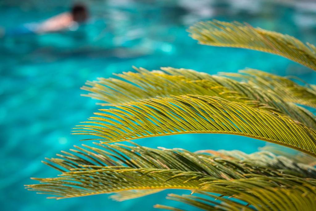 Atzavara Hotel & Spa