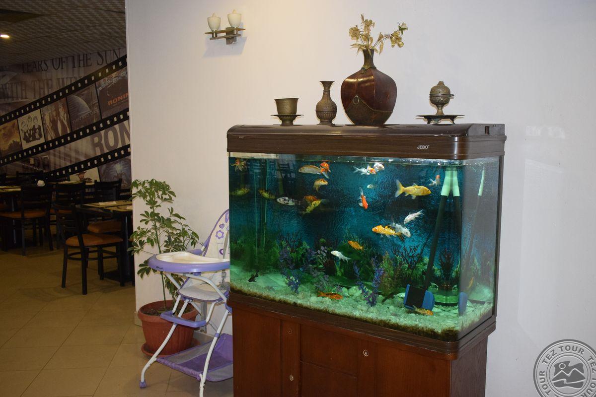 ELYSEES DREAM BEACH HOTEL