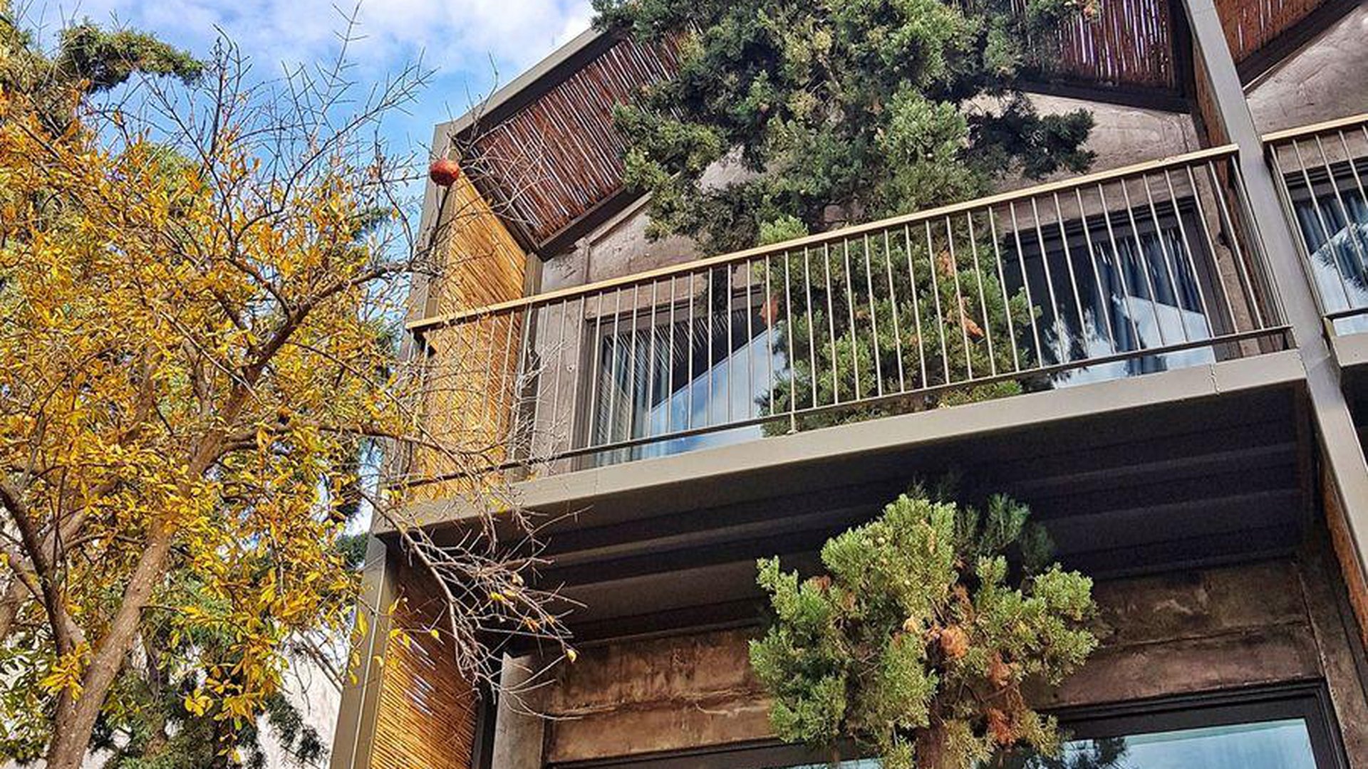 CLUB MARVY BY PALOMA