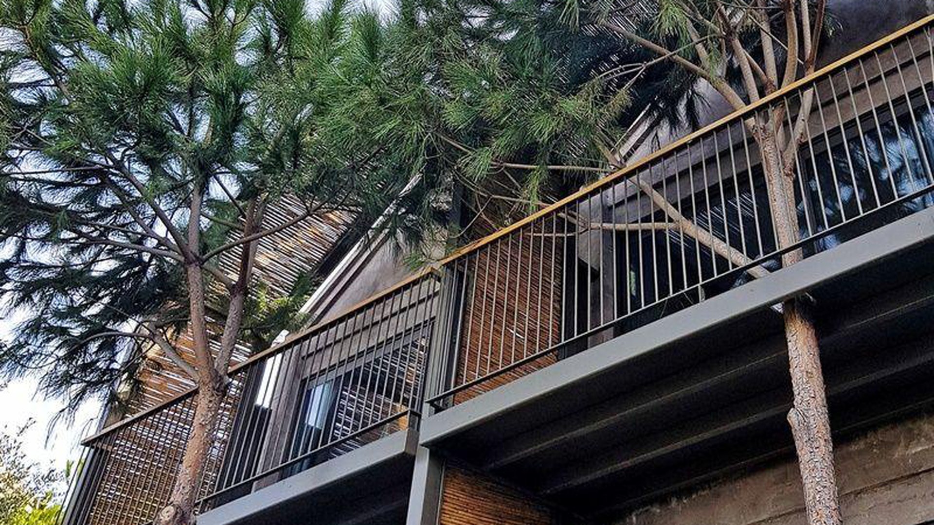 CLUB MARVY BY PALOMA