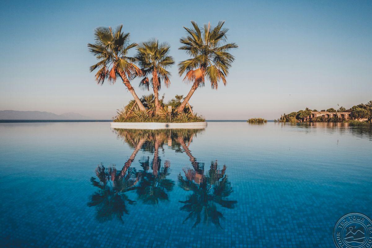 CLUB MARVY BY PALOMA