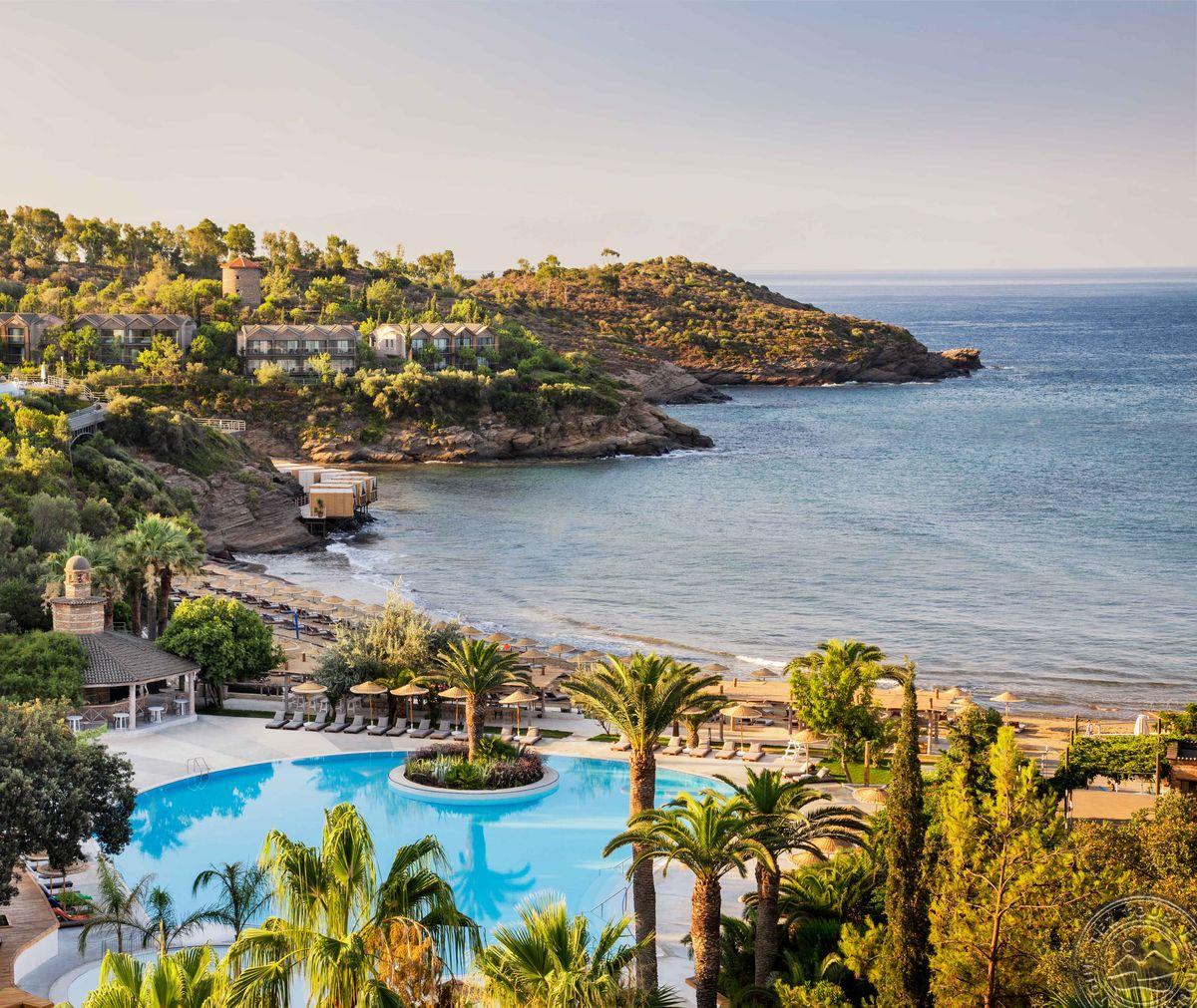 CLUB MARVY BY PALOMA