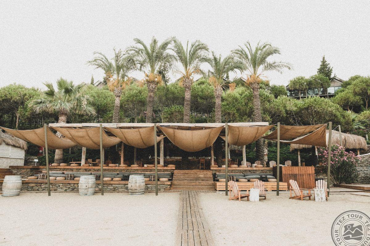 CLUB MARVY BY PALOMA