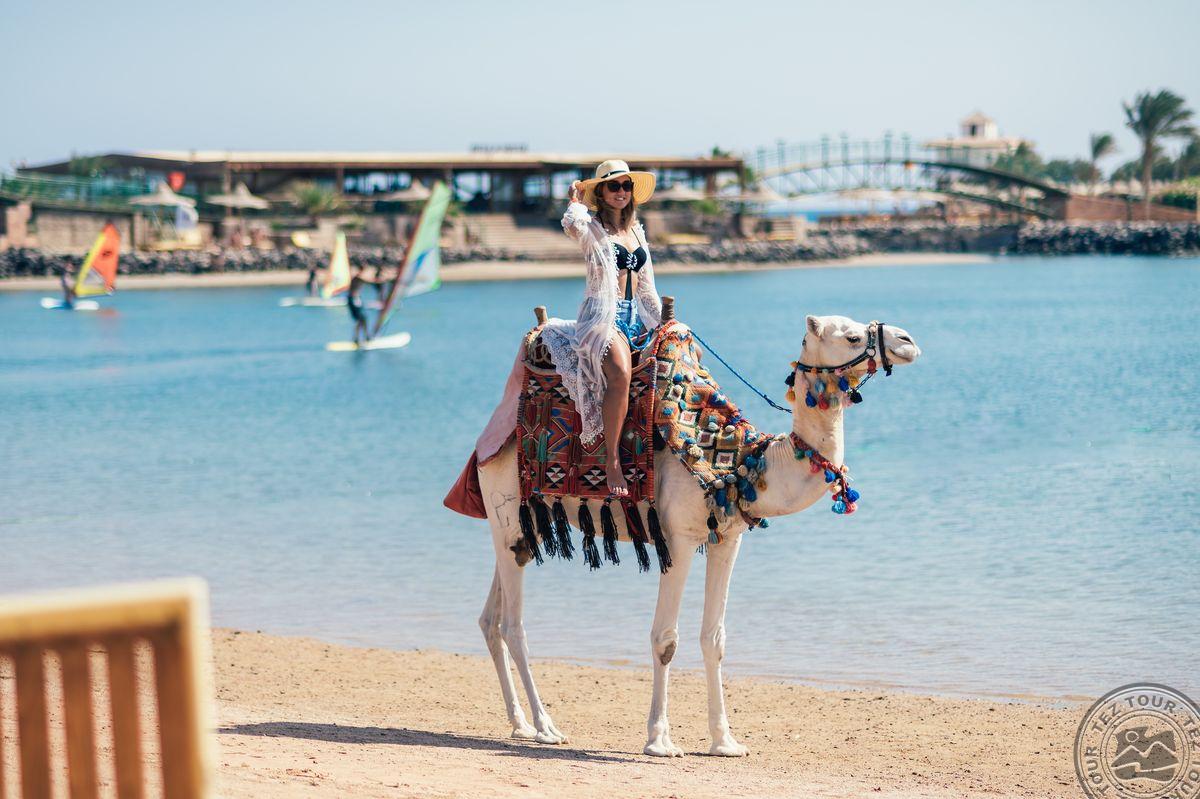 DESERT ROSE RESORT HURGHADA