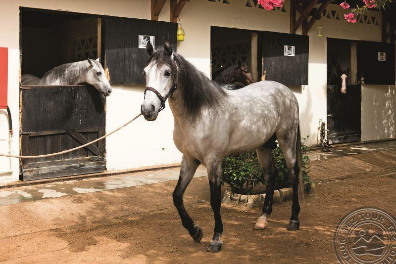 MOVENPICK RESORT SHARM EL SHEIKH