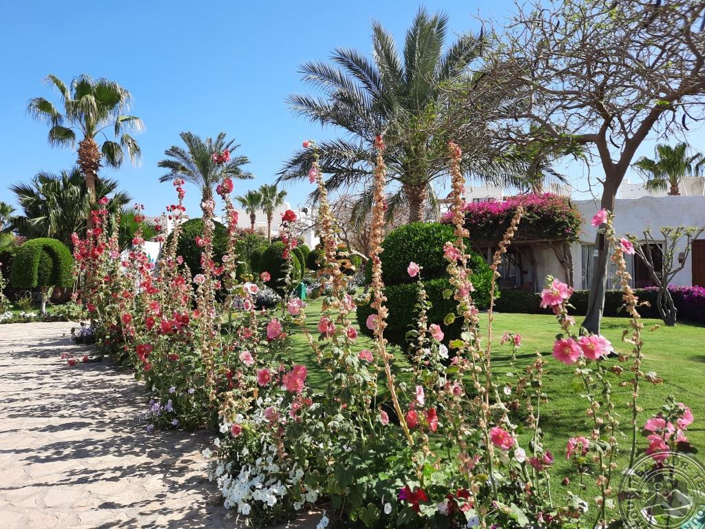 SHARM CLUB BEACH RESORT (EX.LABRANDA TOWER RESORT)