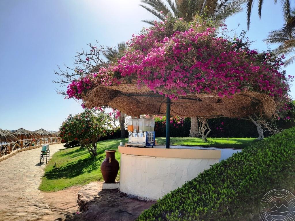 SHARM CLUB BEACH RESORT (EX.LABRANDA TOWER RESORT)