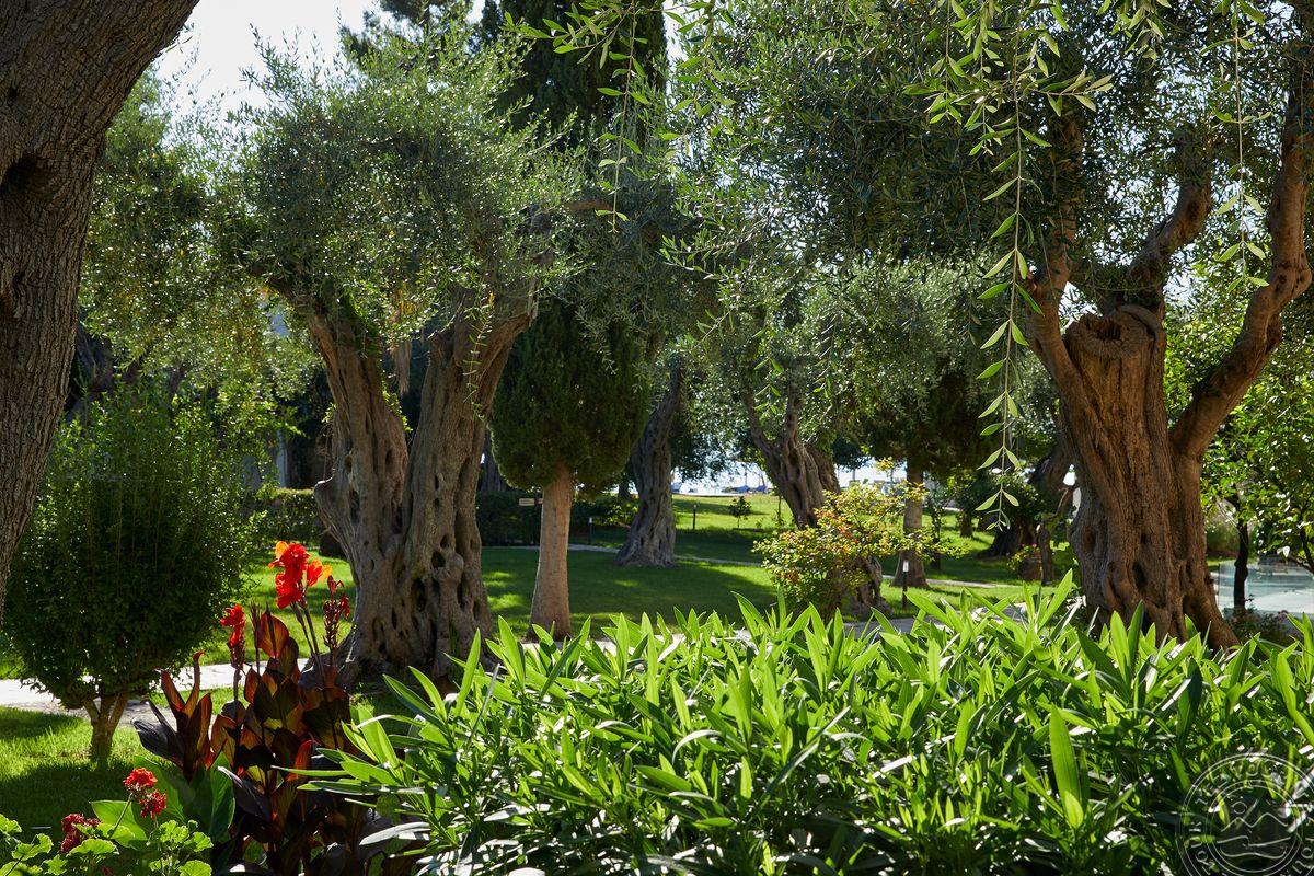 DELFINIA HOTEL CORFU