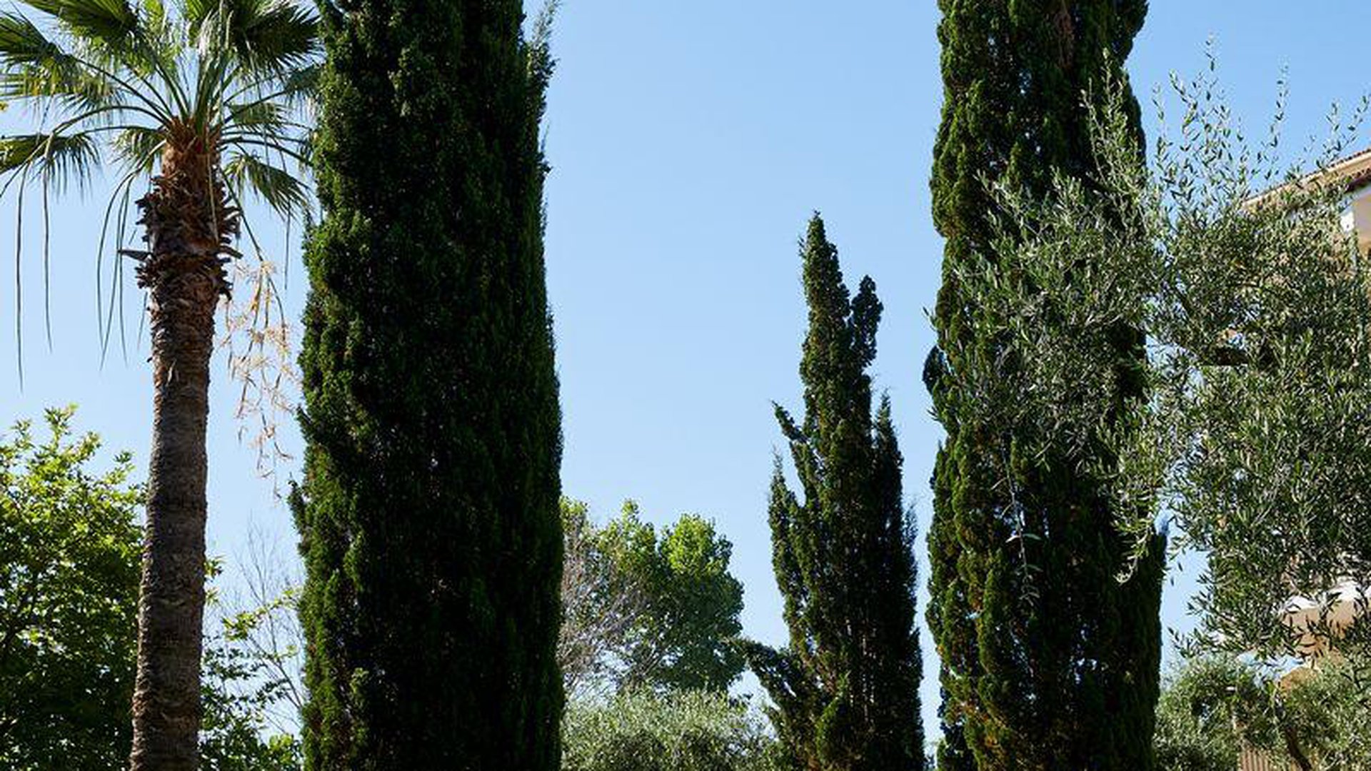 DELFINIA HOTEL CORFU