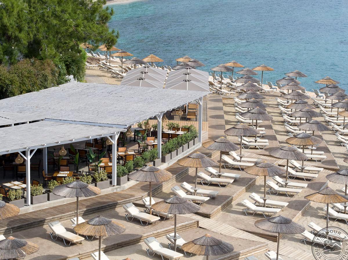 MARBELLA, MAR-BELLA COLLECTION