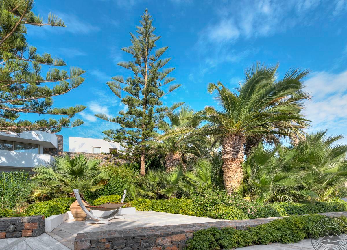 THE ISLAND HOTEL
