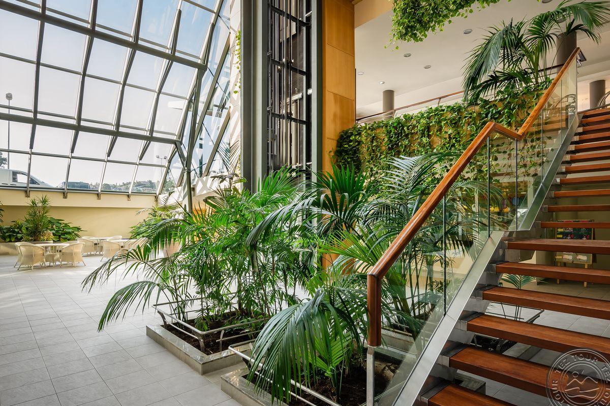 ALEGRIA CAPRICI VERD