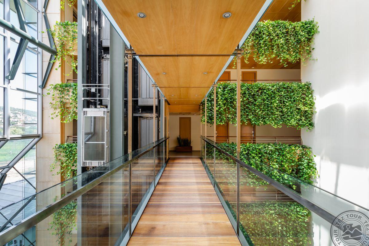 ALEGRIA CAPRICI VERD