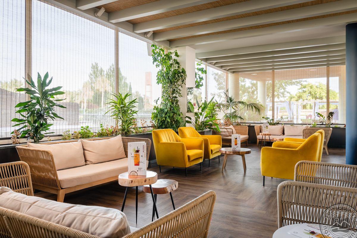 ALEGRIA CAPRICI VERD