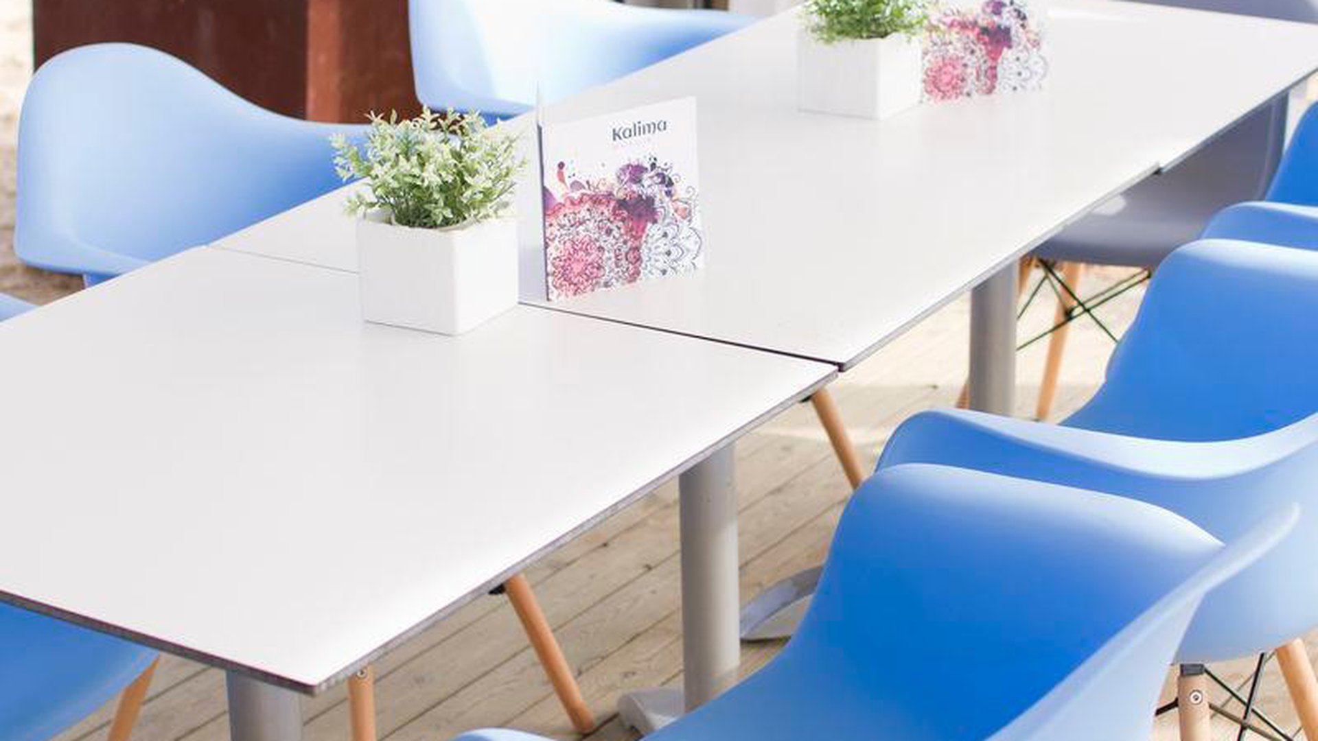 ALEGRIA MAR MEDITERRANIA