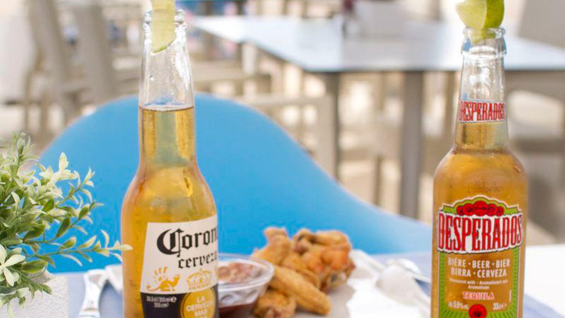 ALEGRIA MAR MEDITERRANIA