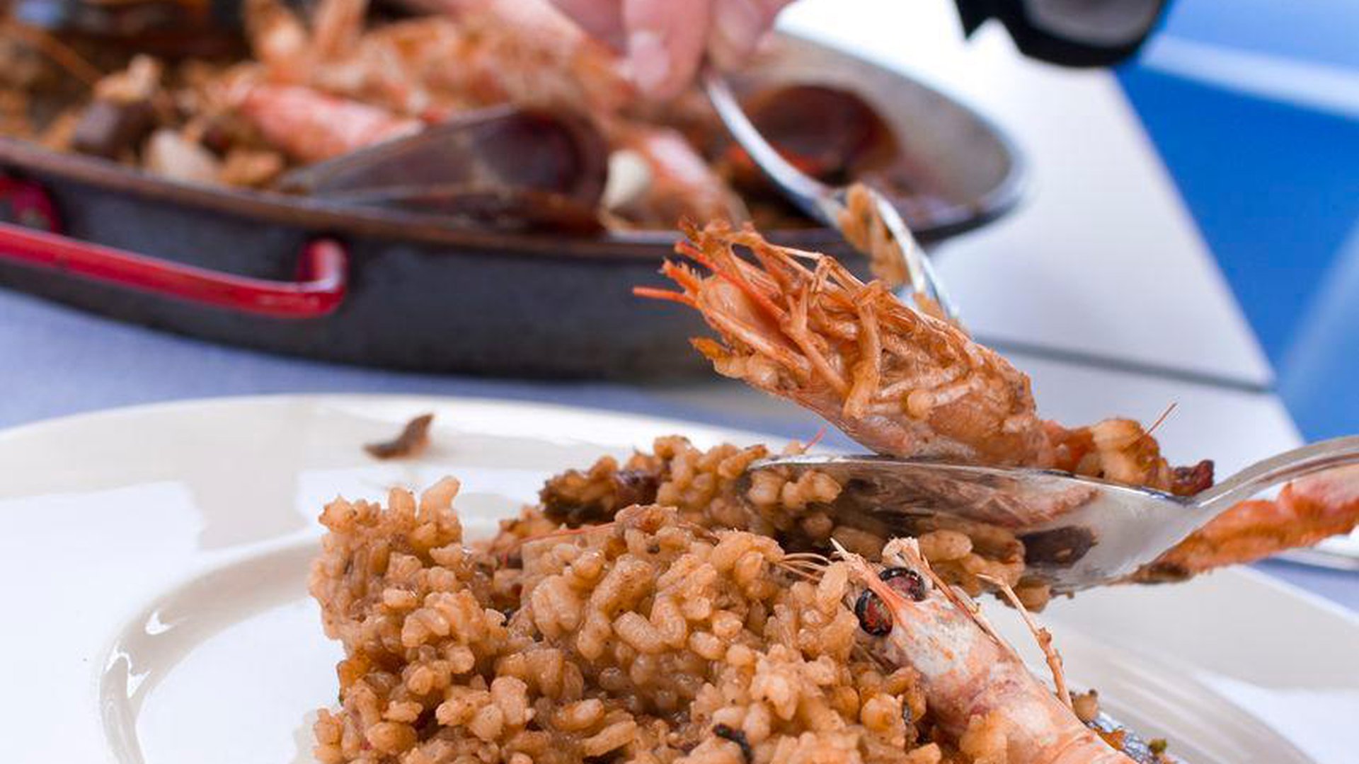 ALEGRIA MAR MEDITERRANIA