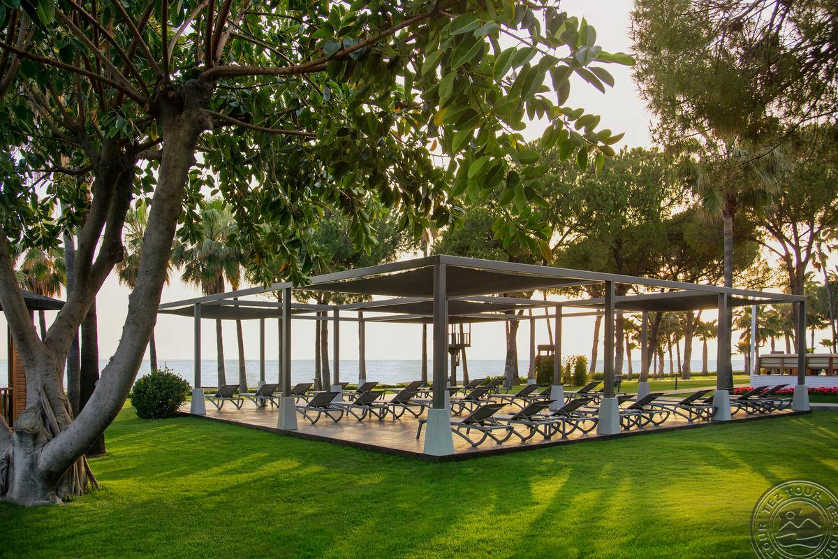 ACANTHUS CENNET BARUT COLLECTION