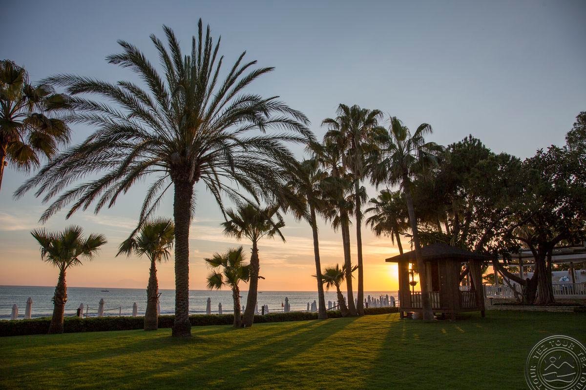 ACANTHUS CENNET BARUT COLLECTION