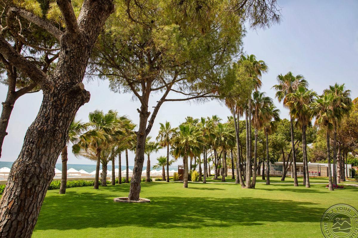 ACANTHUS CENNET BARUT COLLECTION