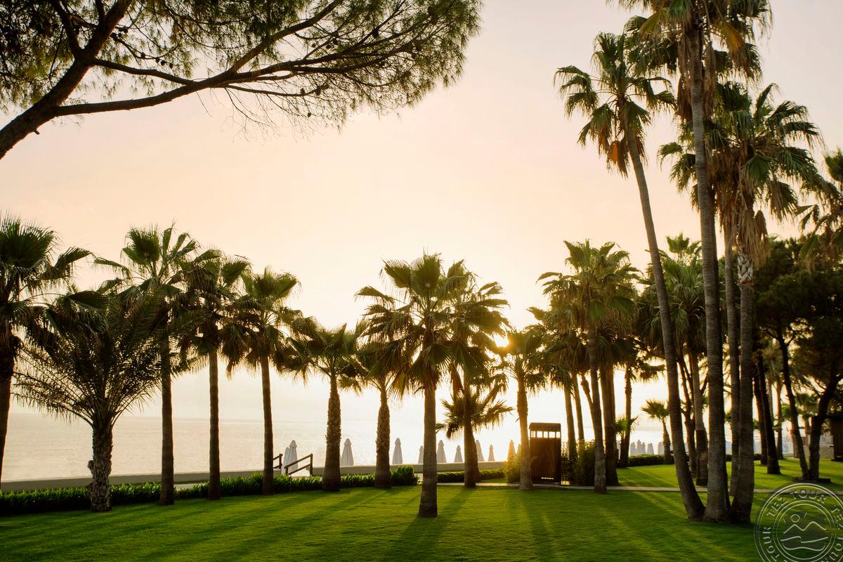 ACANTHUS CENNET BARUT COLLECTION