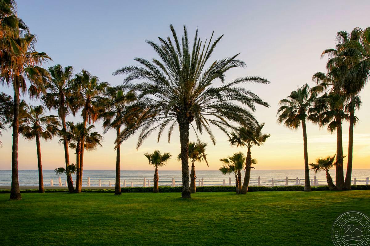 ACANTHUS CENNET BARUT COLLECTION